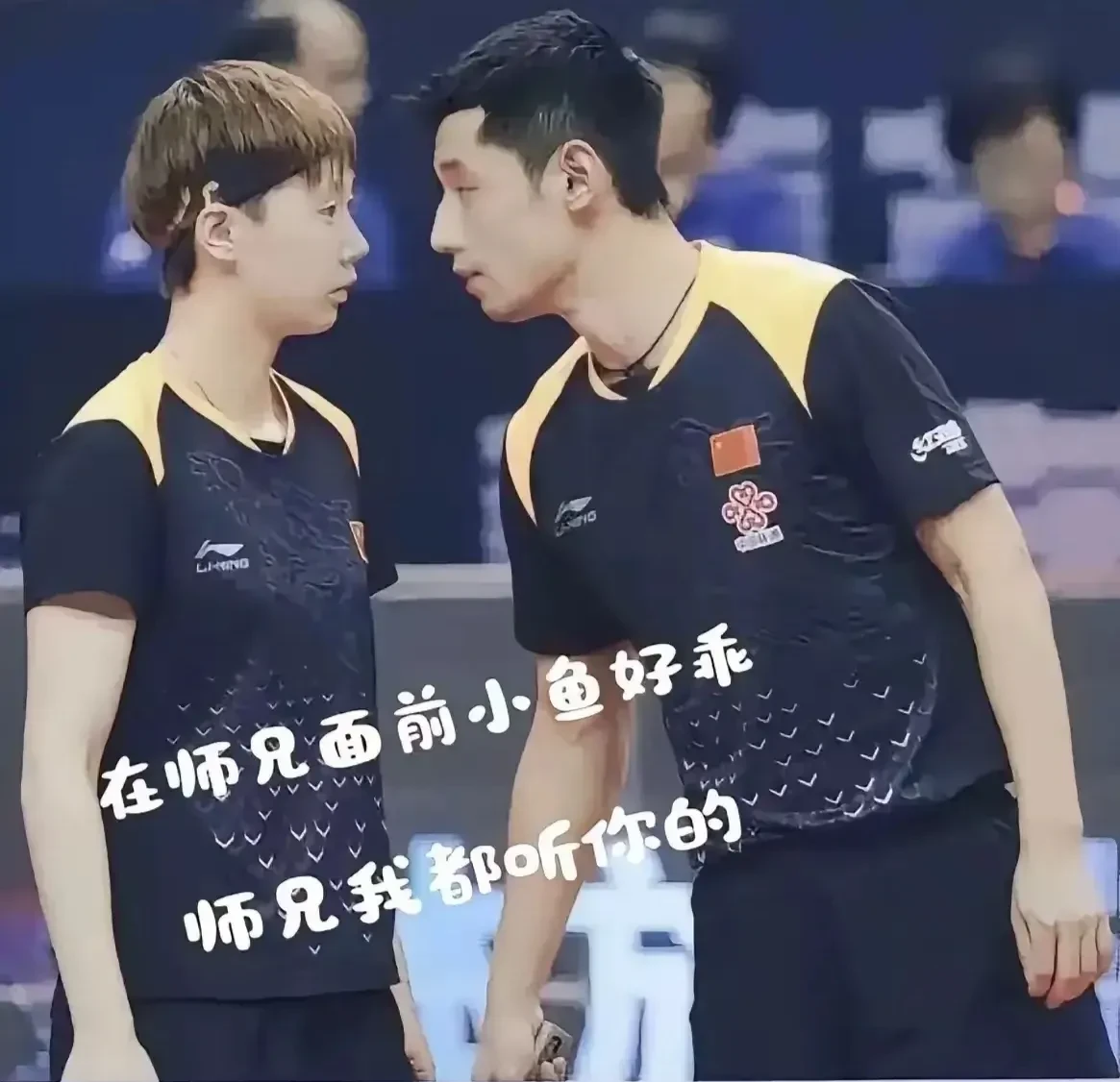 瑞典乒乓球队横扫日本乒乓球队，张继科送出助攻