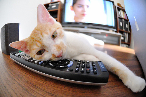 冰与火之歌，吉林队冻结森林狼，杜兰特37分定乾坤