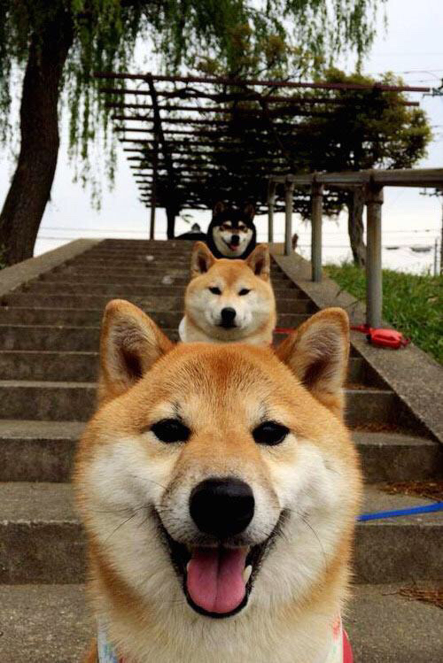 开云体育app-足球世界的平行宇宙，几内亚绝杀拜仁与维尼修斯的里程碑之夜