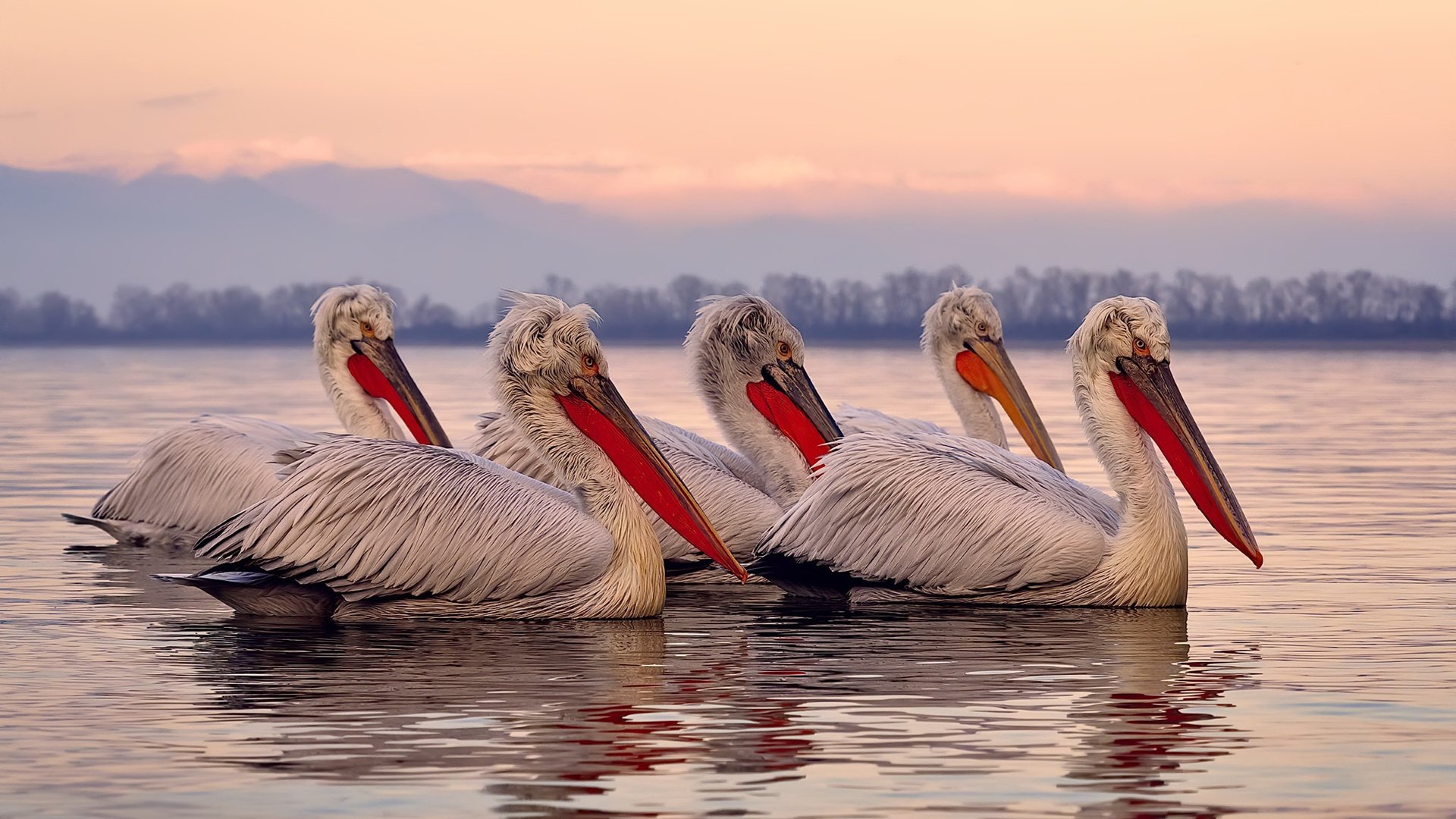 零点四秒，一粒星辰