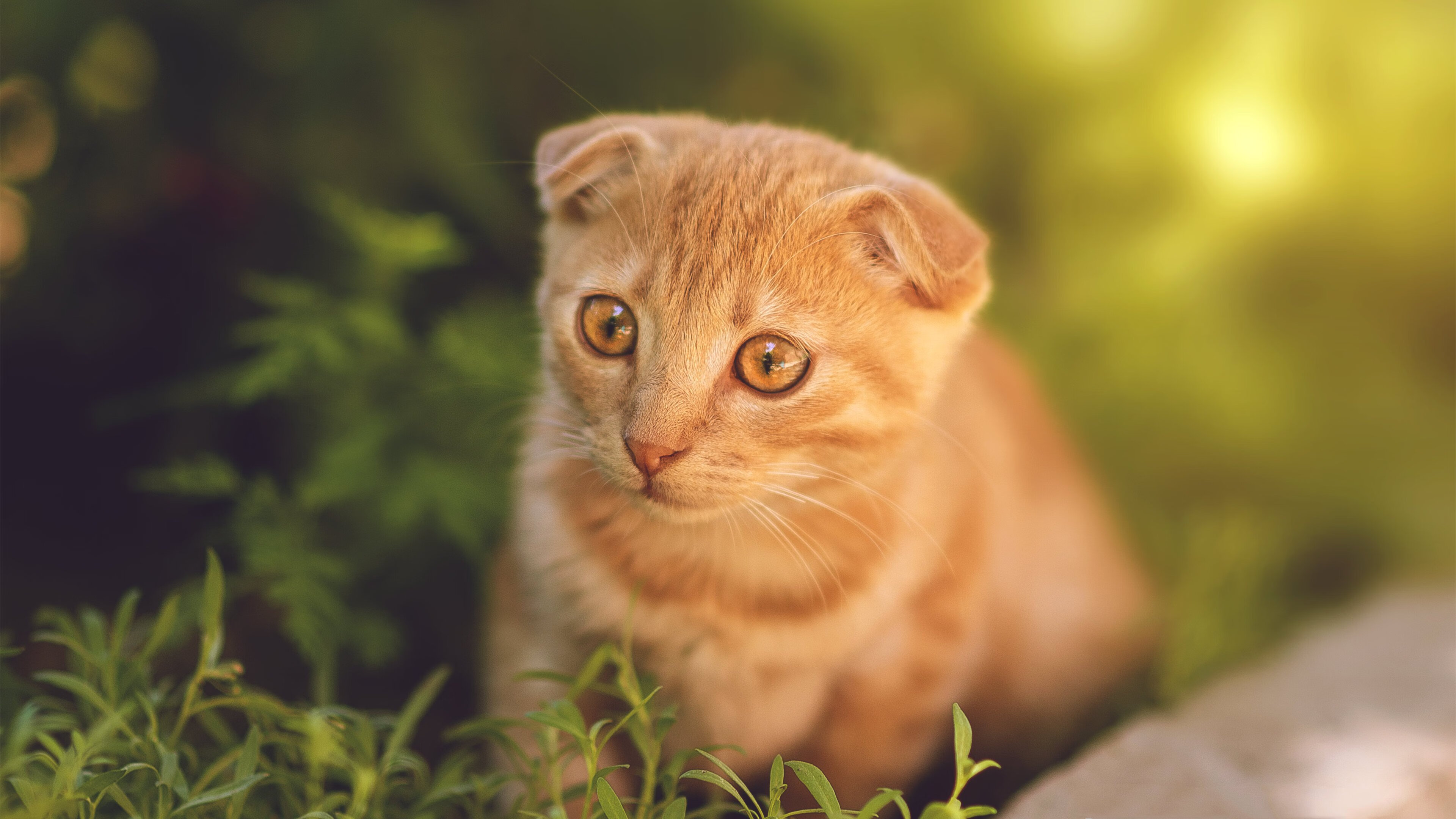 2026美加墨世界杯，当足球遇见末节奇迹—曼联式逆转击沉马德里竞技