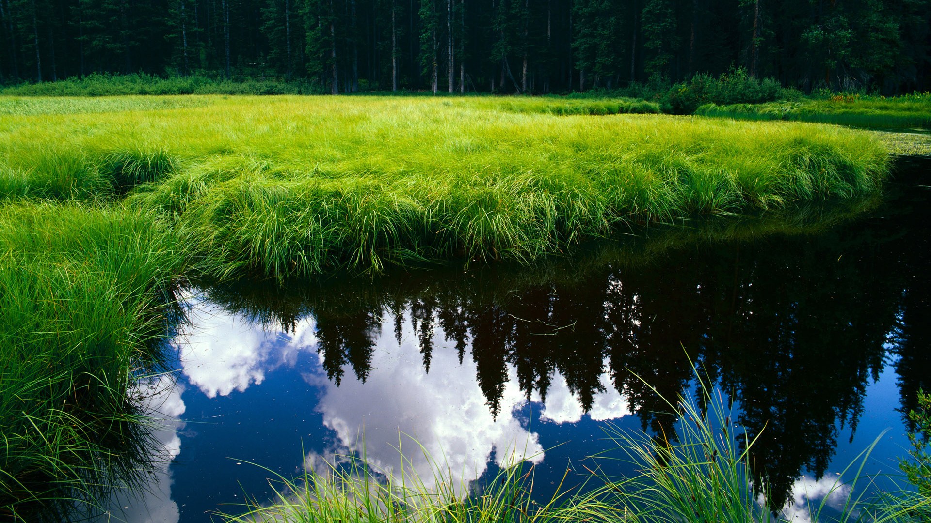 欧冠之夜,拉什福德爆发梅开二度,阿根廷新星绝杀阿森纳改写命运
