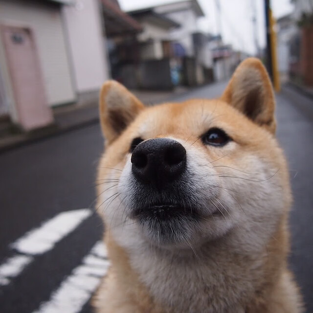 淬火之战，上海加时克热浪，恩比德登顶霸权争夺