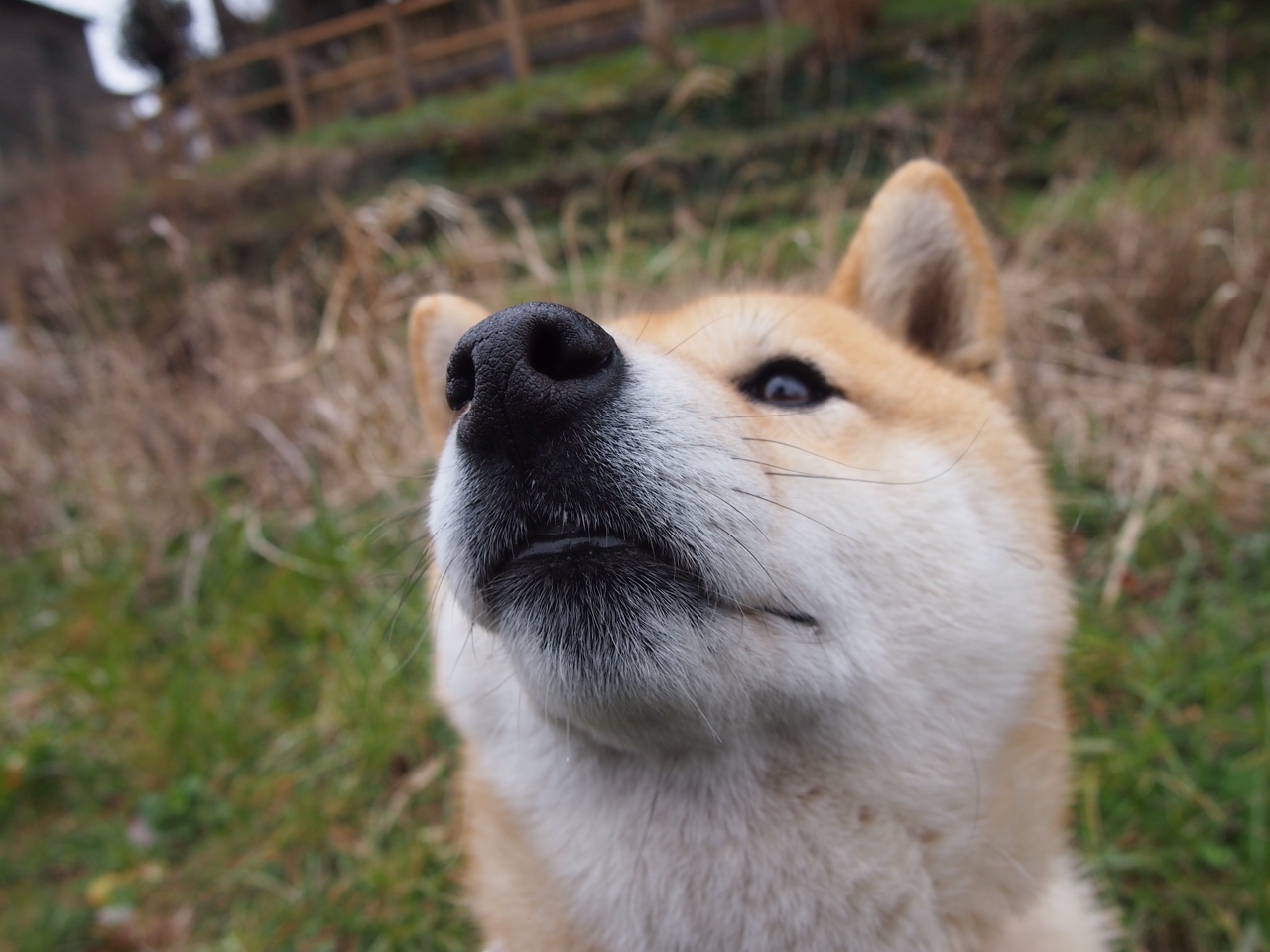 跨界盛典，曼城单节击溃澳大利亚，梅西足球思维成篮球场关键先生