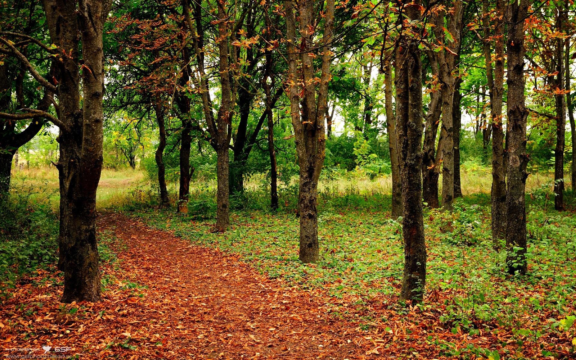 开云体育平台APP-跨界之王，当德布劳内在F1街道赛之夜点亮摩纳哥
